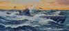Revell 05180 German Submarine Type IX (U505) - Limited Edition 1/72